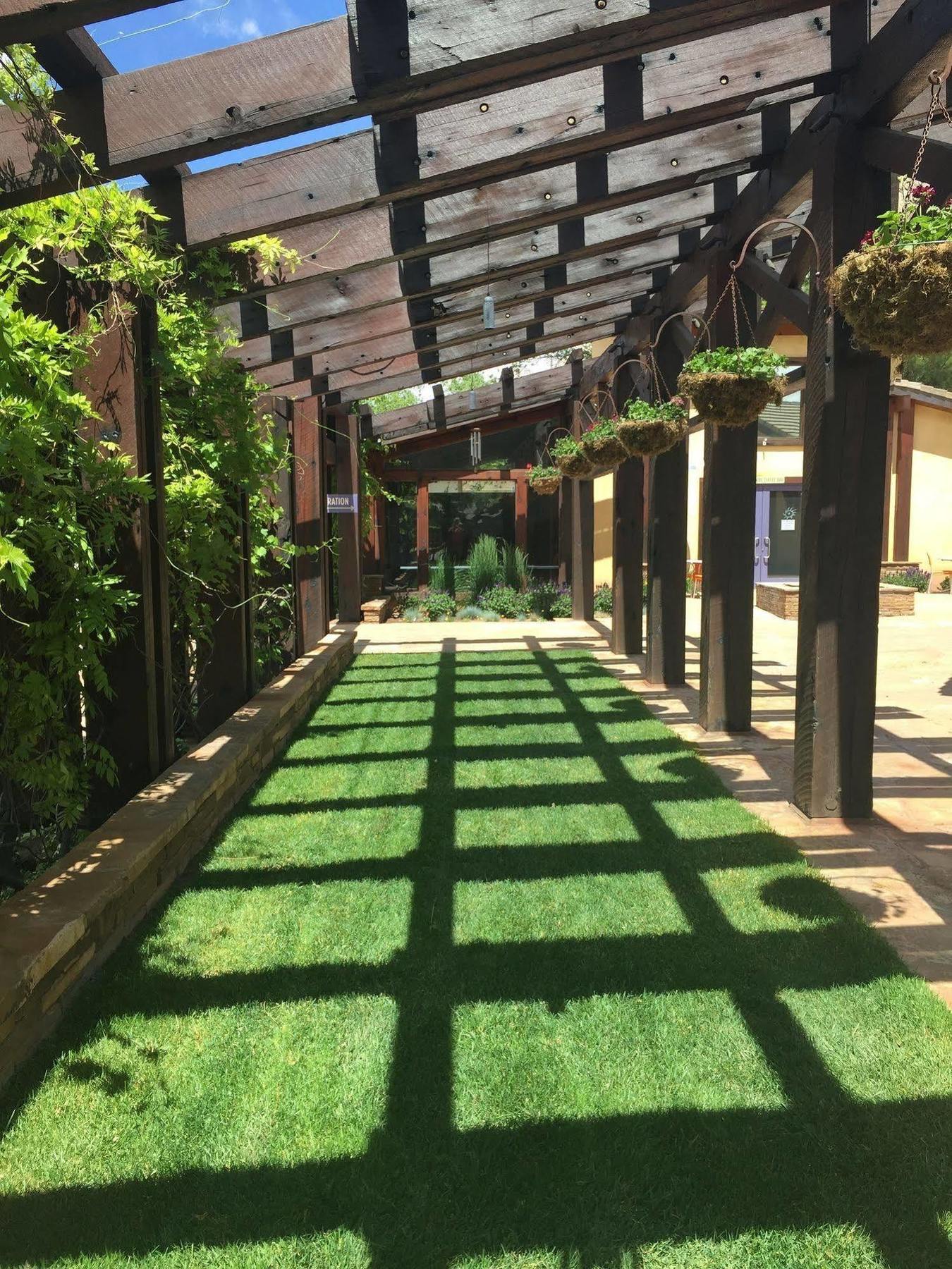 ספרינגדייל Desert Pearl Inn מראה חיצוני תמונה
